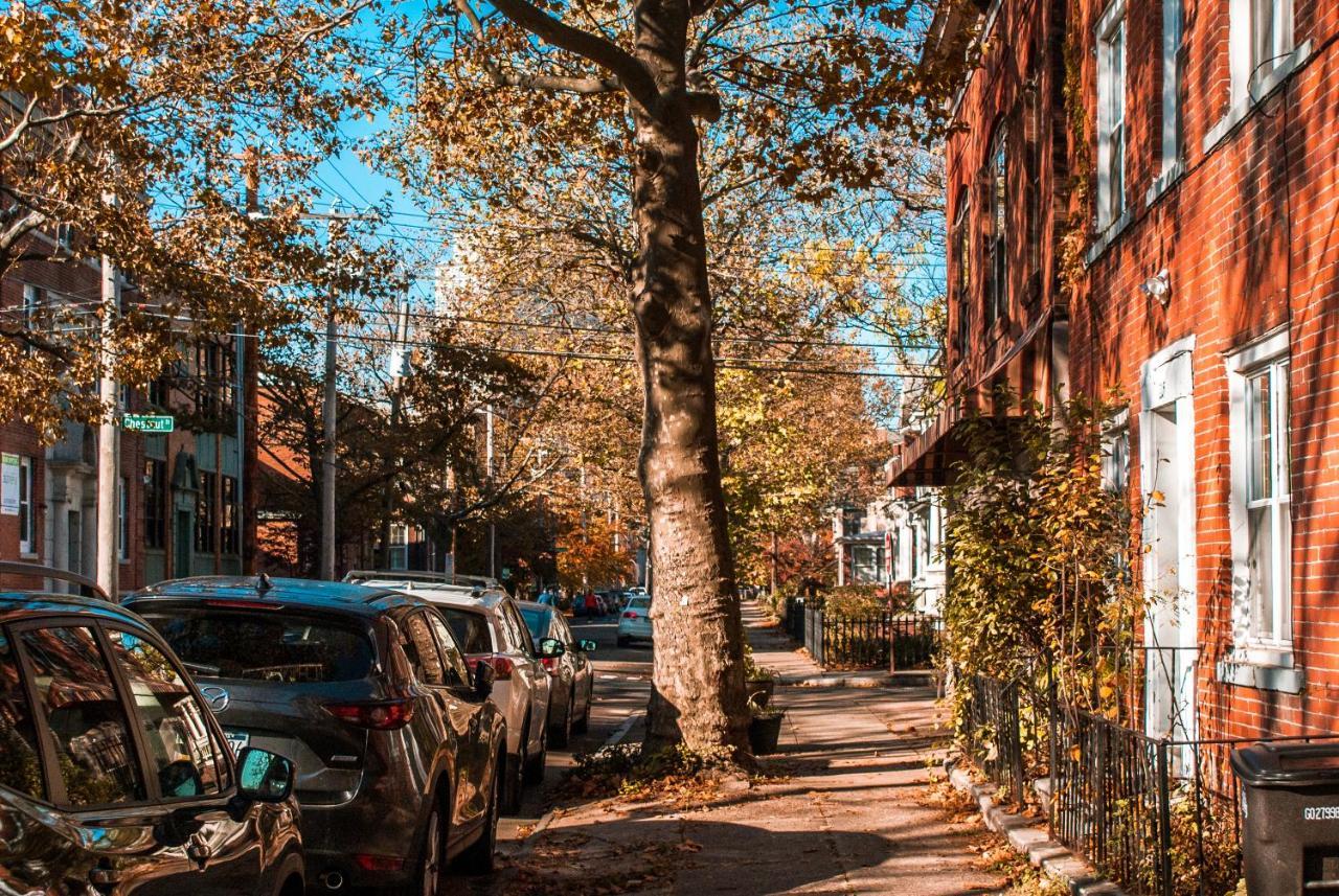 Gorgeous 1Br Wooster Sq. Apt. - Wshr/Dryr, Parking New Haven Kültér fotó